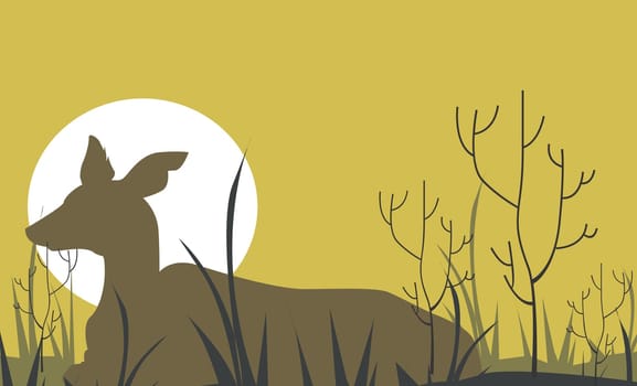 Deer