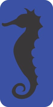 seahorse