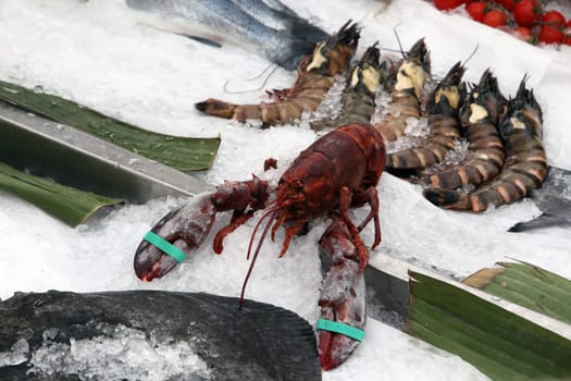Lobster on ice