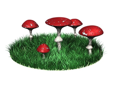 Toadstools in a circle