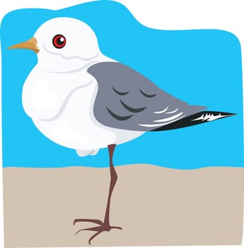 A robin magpie