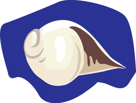 shell