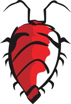 bug