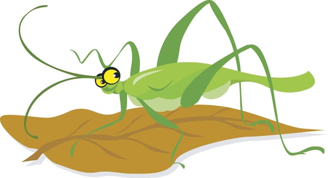 Grasshopper