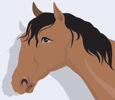 horse