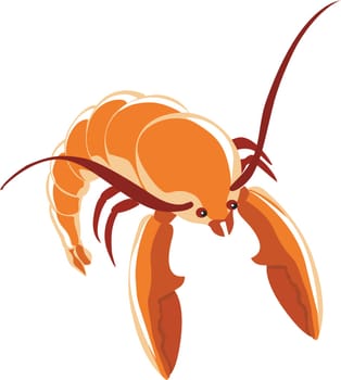 shrimp