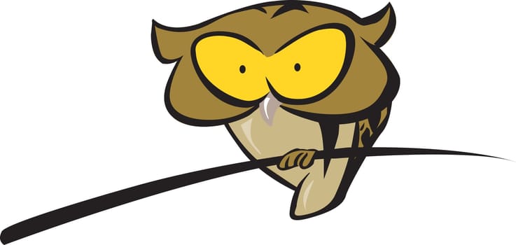 An owl