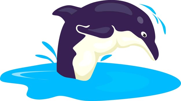 dolphin