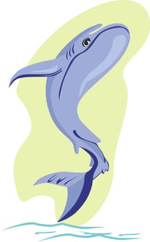 dolphin