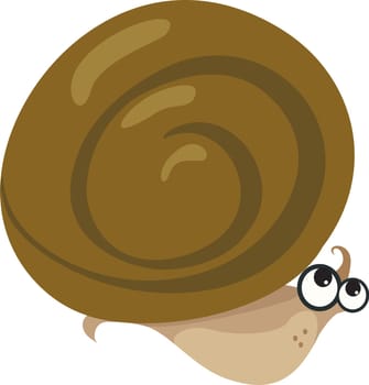 snail