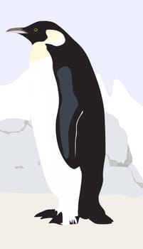 penguin