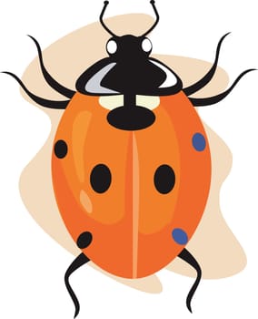 lady bug