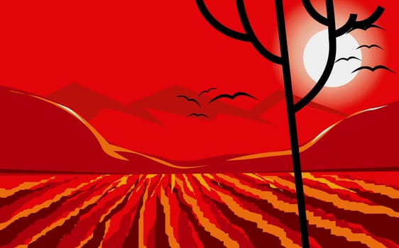 Field