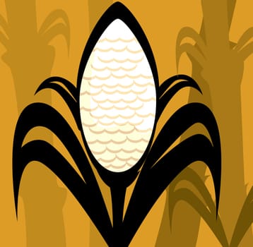 Maize