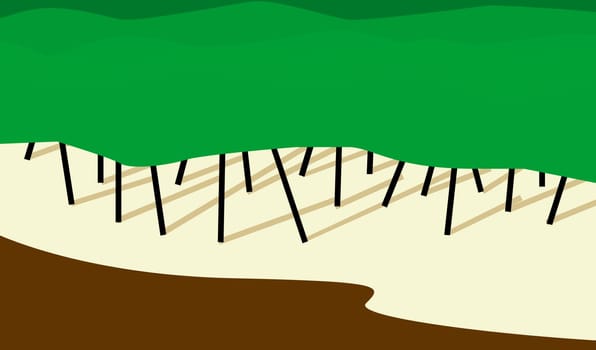 Field