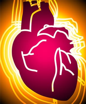 Heart
