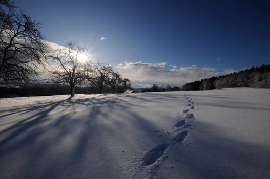 Winter