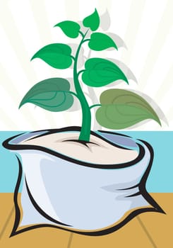 Plant
