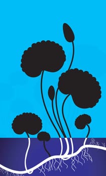 Plant
