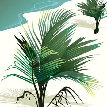 Coconut