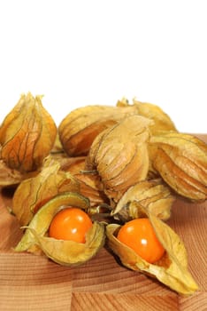 Physalis