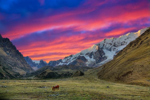 Road through Andes