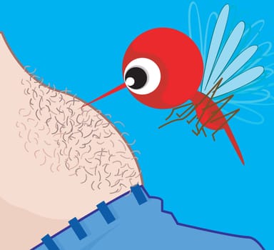 mosquito
