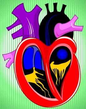 Heart