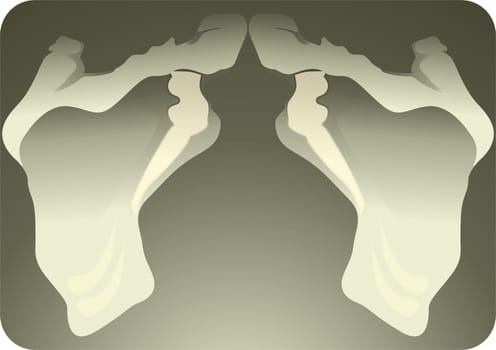 pelvic