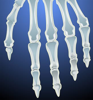 bone