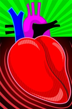 Heart