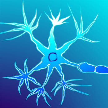 neuron