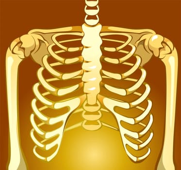 bone