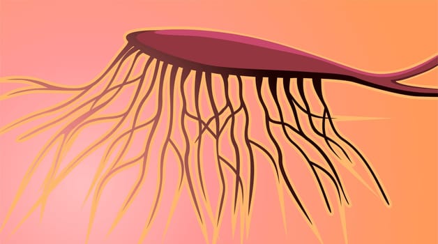 neuron