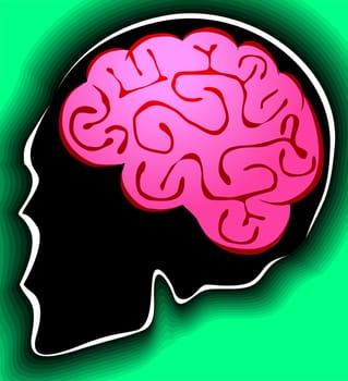 brain