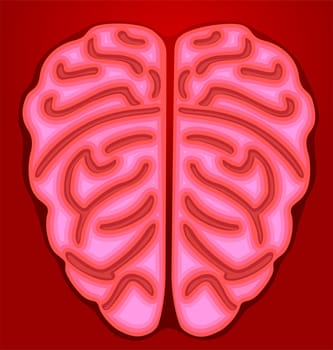 brain