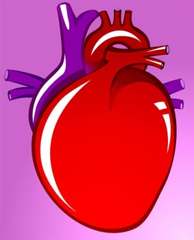 Heart