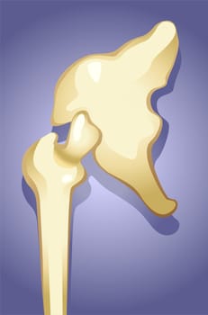 bone