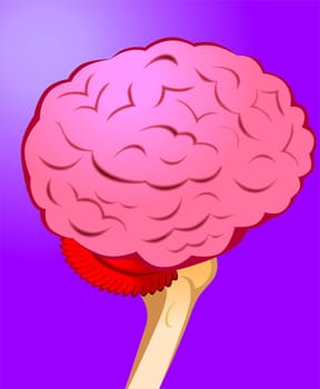 brain