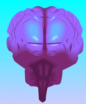 brain