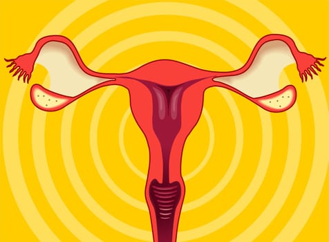 ovary