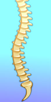 bone