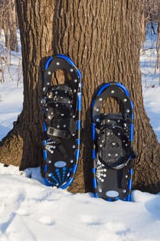 Snow rackets