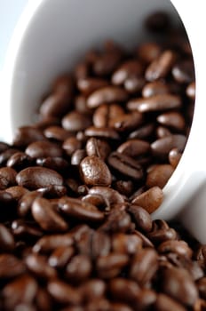 ziar coffee in the cup