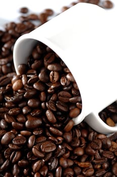 coffee beans in a cup