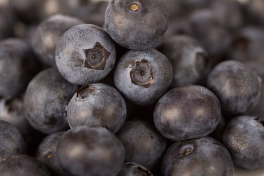 Blueberries close