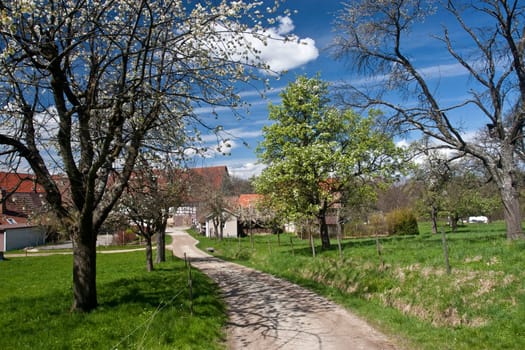 Farm near Neidlingen