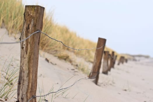 Dune landscape in winter