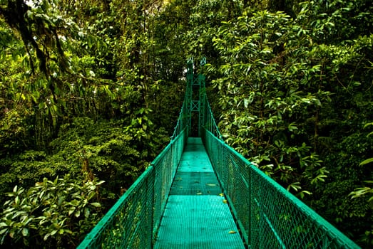 Hanging bridge