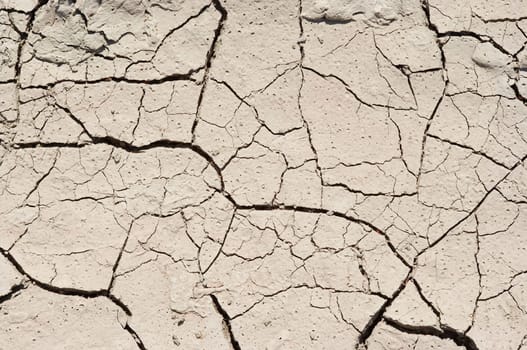 dried ground